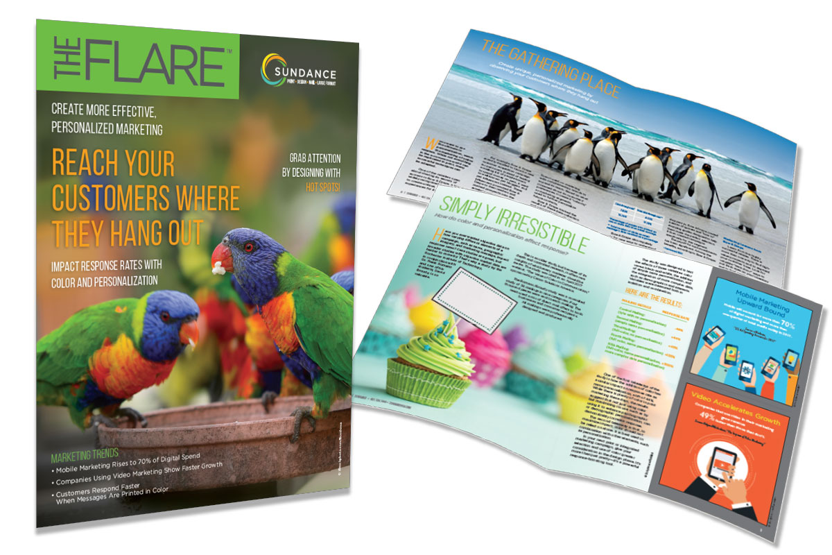 The Flare Newsletter – July 2018
