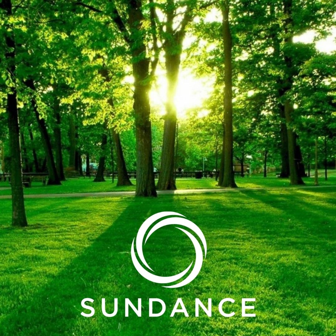 Printing Sustainability: Renewing FSC® Certification and Adding SFI® Certification