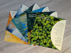 Squares of SunDance Monadnock samples spread out on a table